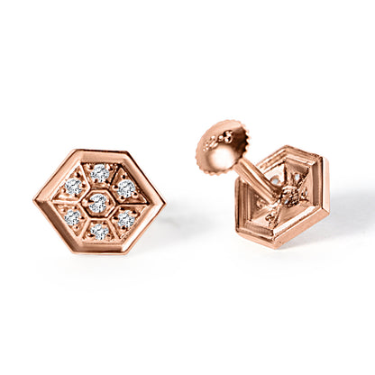 Rosegold earrings Silver