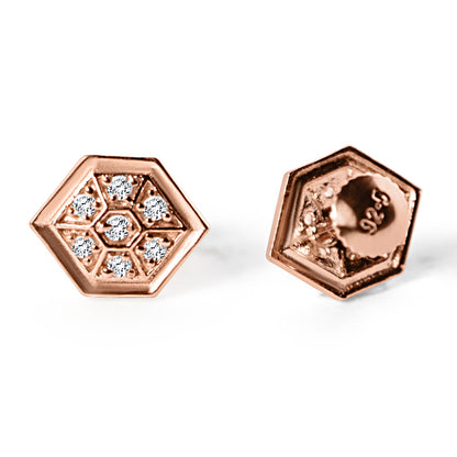 Rosegold earrings Silver