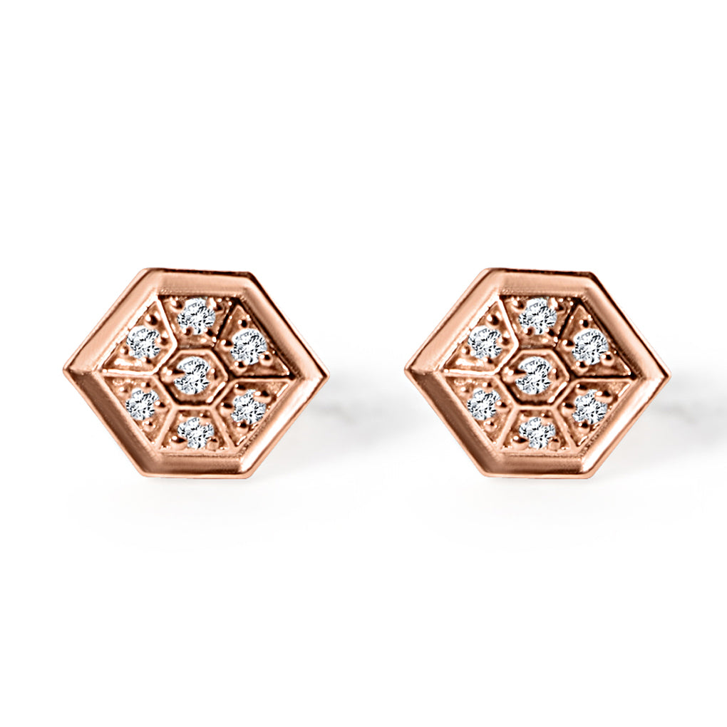 Rosegold earrings Silver