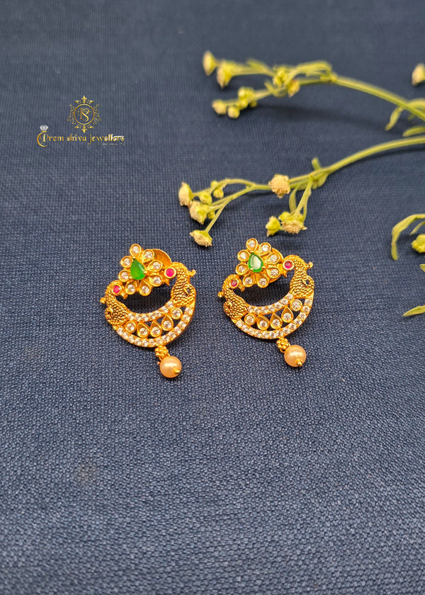 Silver Earrings 0021