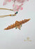Silver Choker 024