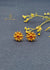 Silver Earrings 0018