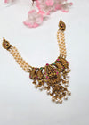 Silver Laxmi Premium #jewellery