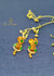 Silver Earrings 0029