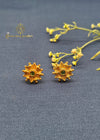 Silver Earrings 0019